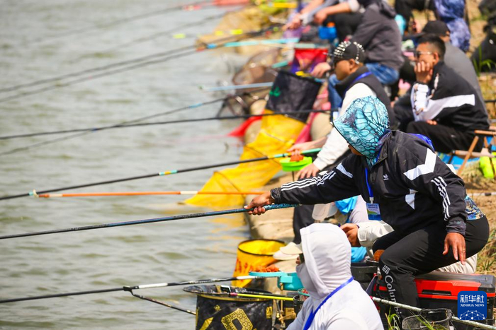 5月3日，钓鱼爱好者在江苏省海安市首届滨海新区钓鱼大赛参加比赛。