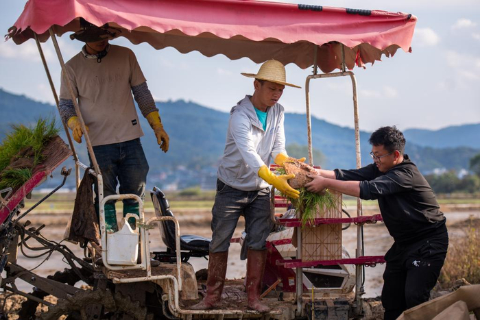 　　2月27日，云南大学农学院学生牛晨翔（右一）帮助当地农民一起插秧。新华社发（彭奕凯 摄）