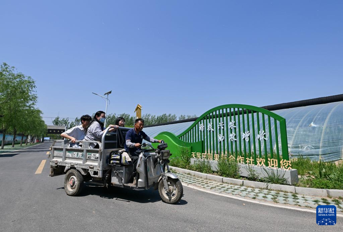在天津天民田园农业科技示范园，农业科技员陈相涛（右）带领学生们在大棚间穿梭（4月29日摄）。