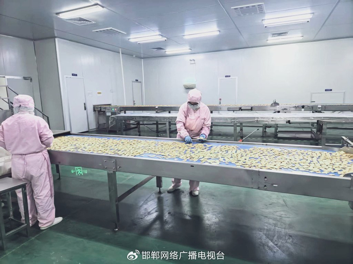 4月20日上午，邱县河北味盟生物科技食品有限公司1号生产车间内，工人在生产线旁忙碌。河北日报记者 刘剑英摄