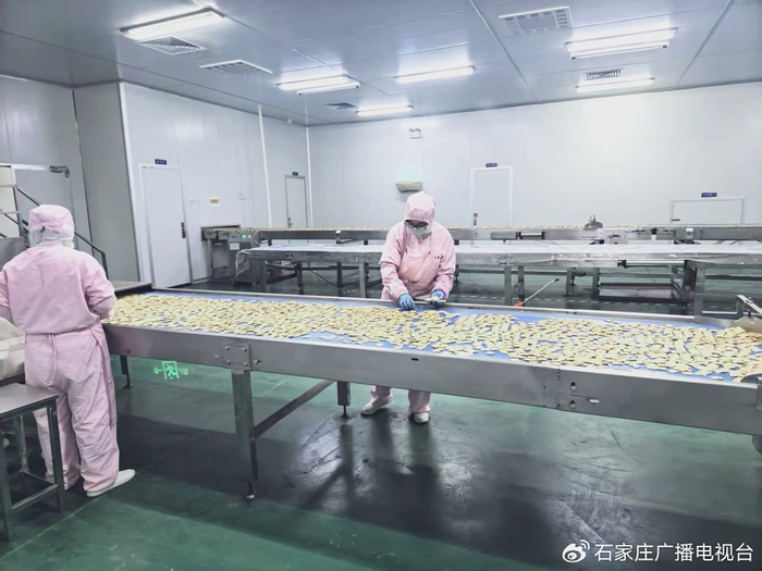 4月20日上午，邱县河北味盟生物科技食品有限公司1号生产车间内，工人在生产线旁忙碌。河北日报记者 刘剑英摄