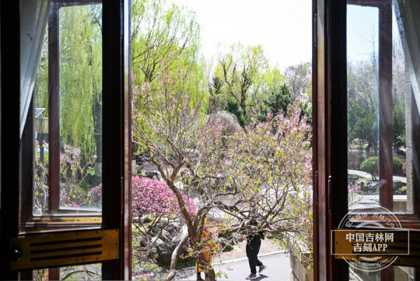 中国吉林网 罗浩 摄