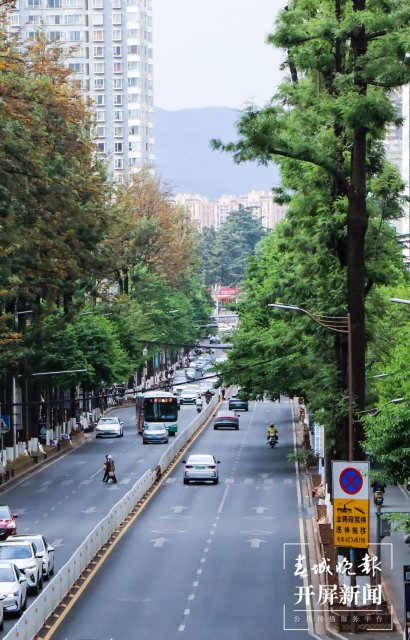 ▲为纪念青年的奉献精神，而被命名的昆明青年路。（开屏新闻资料图）