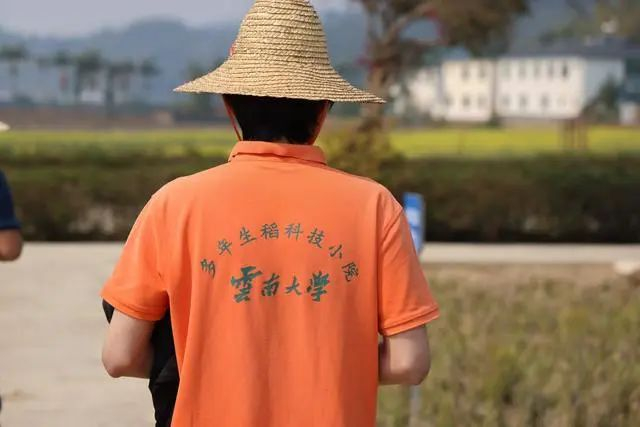 ▲学生下田归来（谢锐佳 摄）