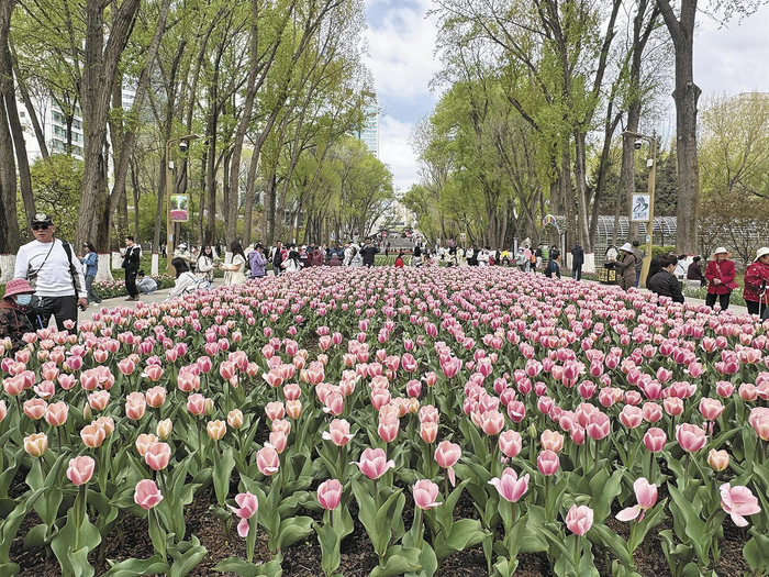 郁金香竞相绽放的西宁市人民公园游人如织。本报记者 王煜鹏 摄
