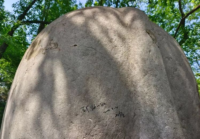 “到此一游”的字样清晰可见，引发网友声讨。网络图