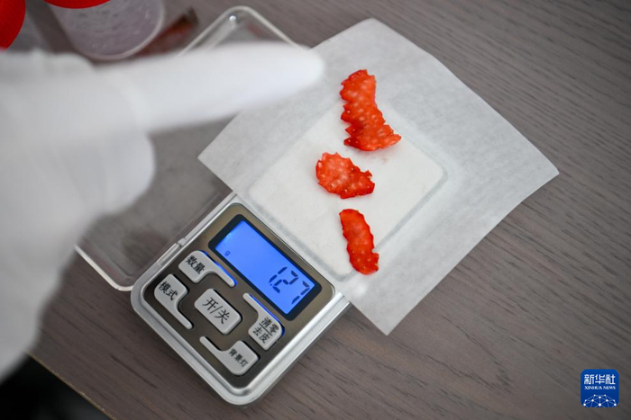 在天津天民田园农业科技示范园，学生准备对草莓进行取样分析（4月29日摄）。