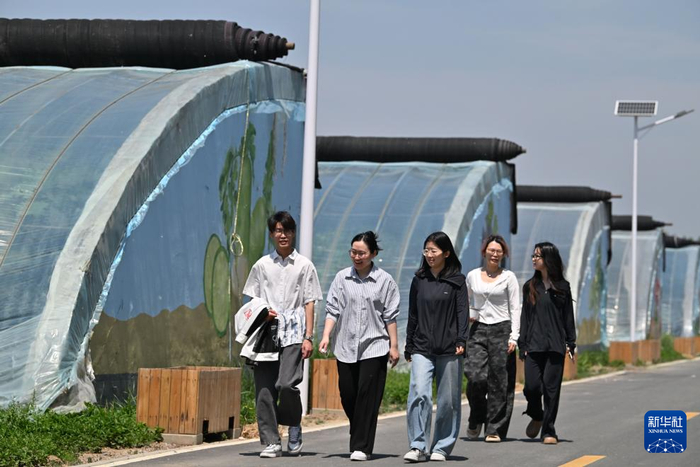 在天津天民田园农业科技示范园，张彦朋（左一）和同学交流（4月29日摄）。