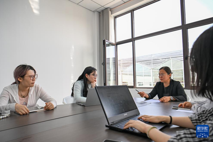 在天津武清小浆果科技小院，王丽娟（右二）为学生们布置实验计划（4月24日摄）。