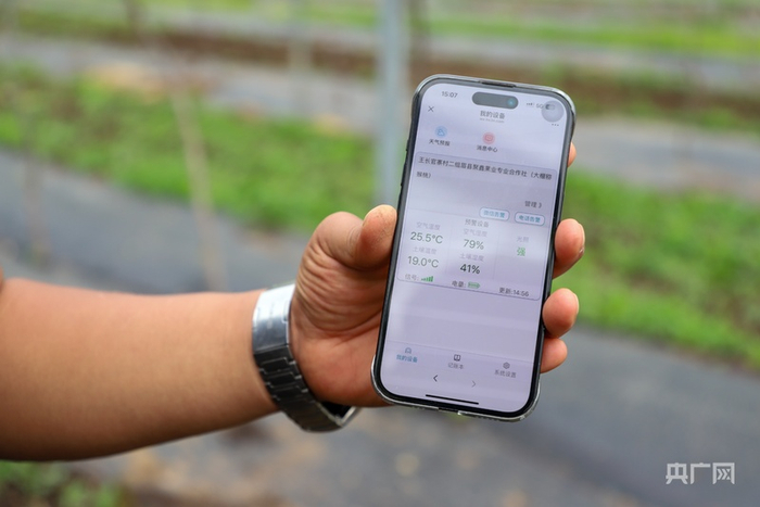 张伟向记者展示设施农业监测预警系统（央广网记者  侯凯奇  摄）