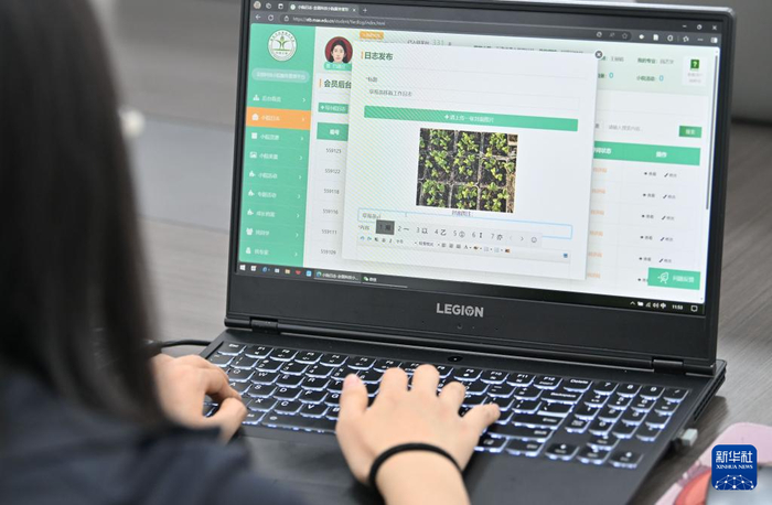 在天津武清小浆果科技小院，高嘉璐在填写草莓苗移栽工作日志（4月29日摄）。