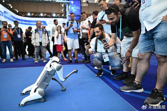 第137届广交会，机器狗与客商互动 图/羊城晚报记者钟振彬