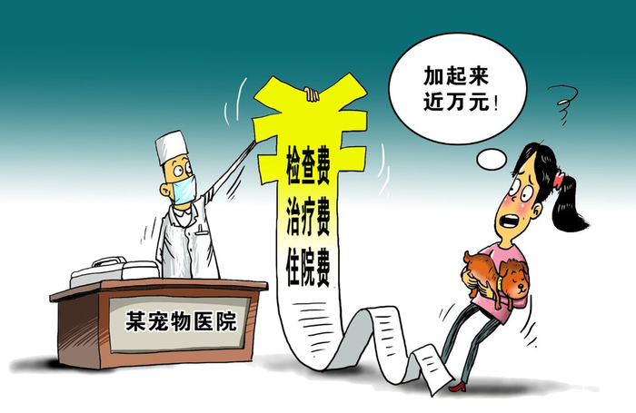 新华社发　朱慧卿作