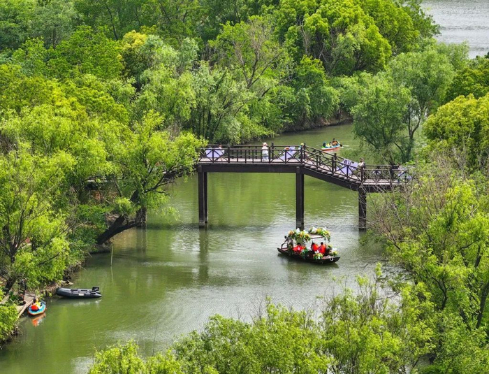 5月4日，游客在浙江省湖州市长兴县的太湖图影湿地公园游览。视觉中国 供图