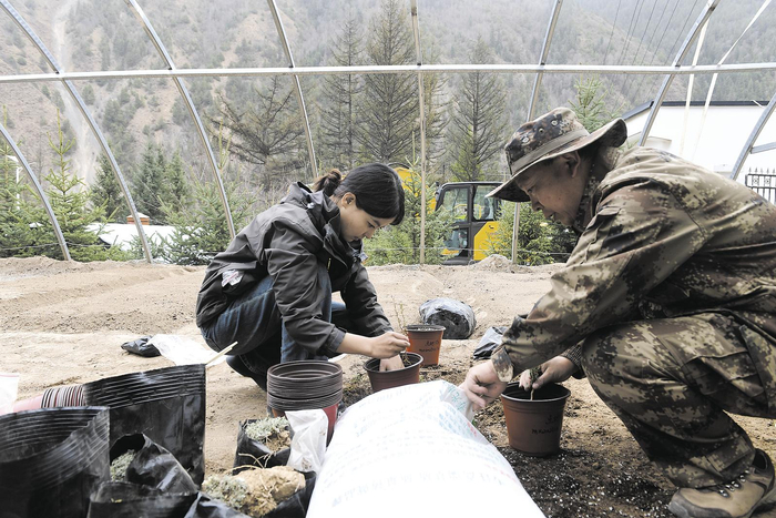 苗木培育。