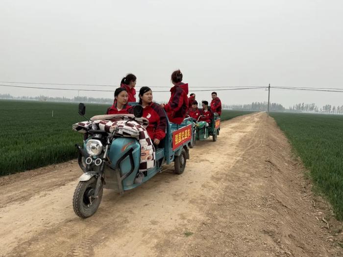 学生们开着电动三轮车穿梭田间地头（摄/河北青年报记者宋敬）