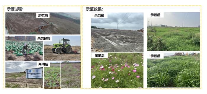 江西九江柴桑区酸性贫瘠矿山生态修复效果