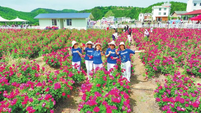 游客在曲靖市麒麟区升官屯村花海拍照打卡。
