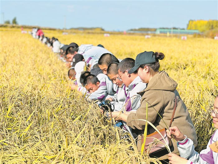     研学基地深受学生欢迎。