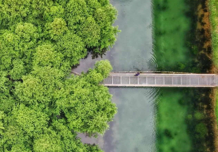 安徽芜湖江东水生态公园