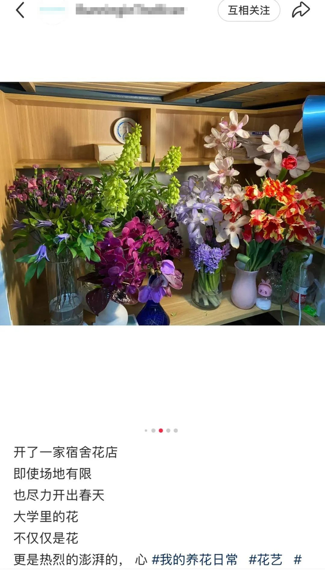 Chris在社交媒体上分享的“创业”心得