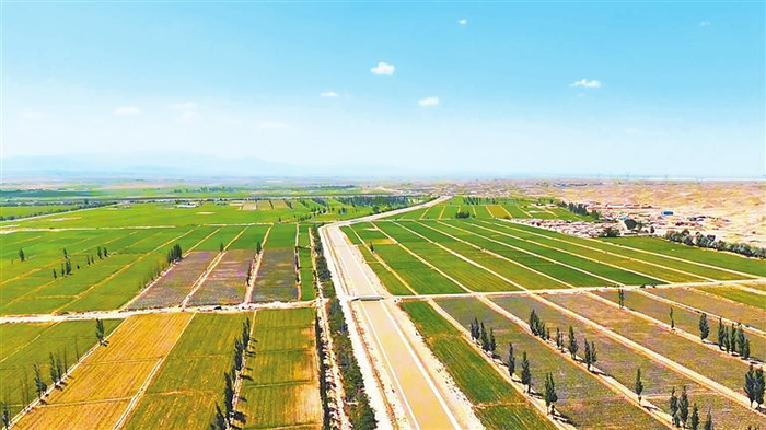 绿意盎然的景泰川。省景泰川电力提灌水资源利用中心供图