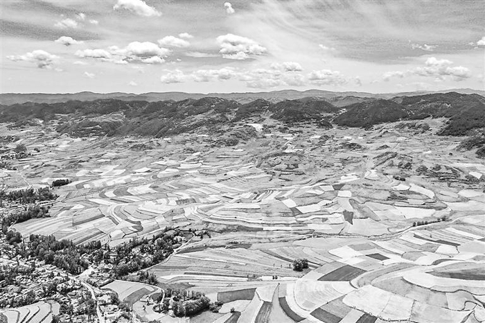     漳县阡陌纵横，风景如画。  漳县县委宣传部供图