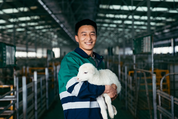 △制种公司技术员王鹏涛怀抱新品种羊。
