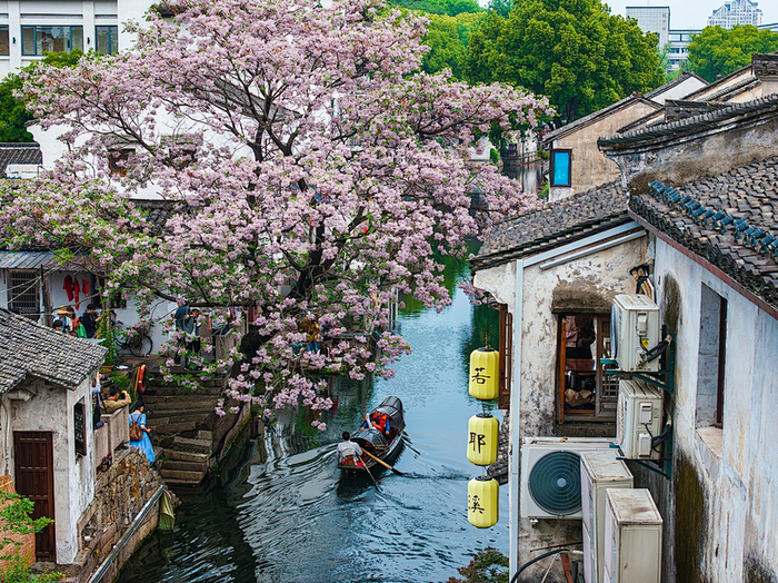 图源 浙江省文旅厅官微