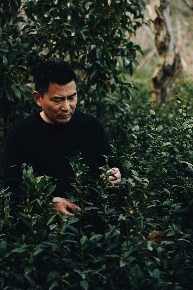 朱运兆，受访者供图。