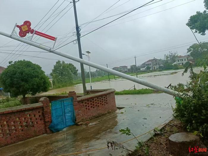 ▲大风暴雨后，电线杆倾倒。受访者供图