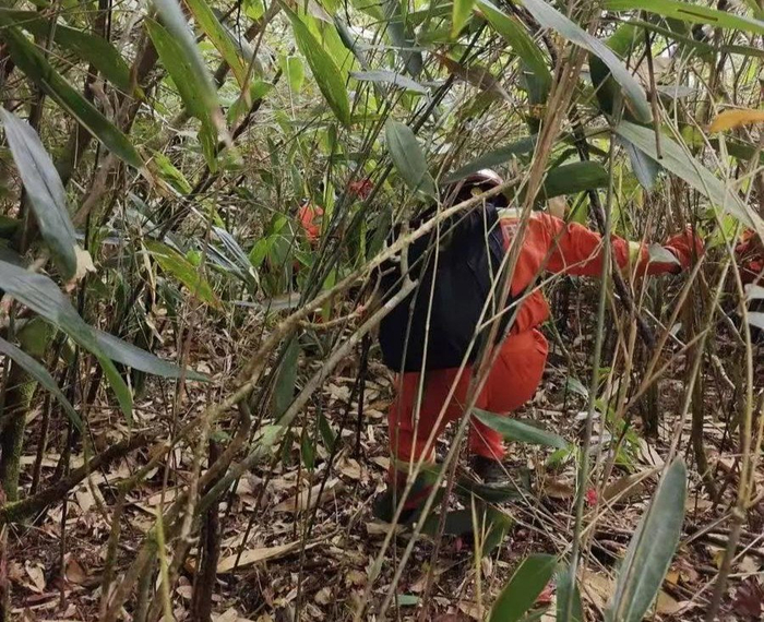 消防员在山林间穿行 图源莆田消防