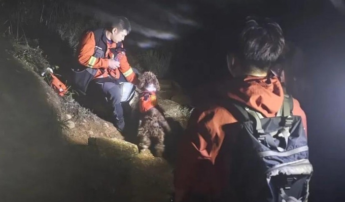 消防员彻夜搜寻 图源莆田消防