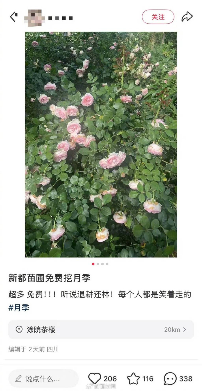网友发的“新都区免费挖花”帖子