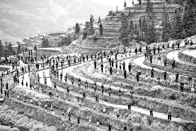     贵州省黔东南州从江县在加榜梯田上举行“开秧门”仪式。光明图片/视觉中国