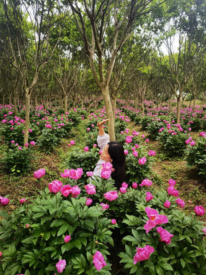 游客前来观光打卡。杜福福陈从旗 摄