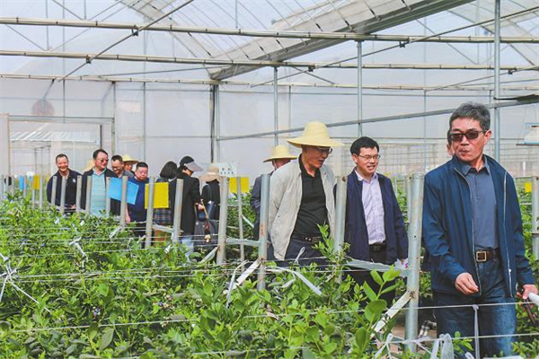 银龄教师走基层。