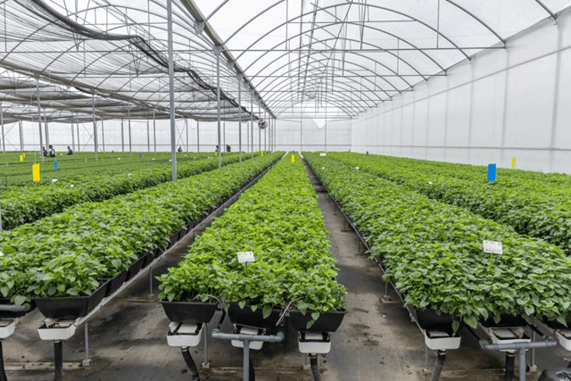 路线B:国际组织园区参观