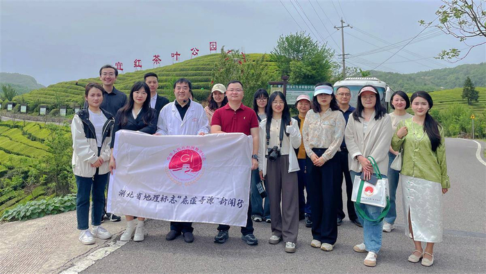 媒体采访团在宜红工夫茶茶园合影