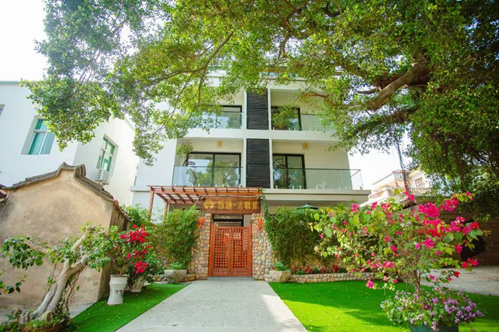 东山县康美镇西崎村“静栖·古榕居”民宿四周绿意环绕、繁荫点点，成为网红打卡地