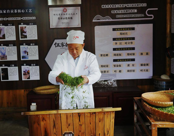 伍家台贡茶地理标志用标企业负责人郑时兵制茶