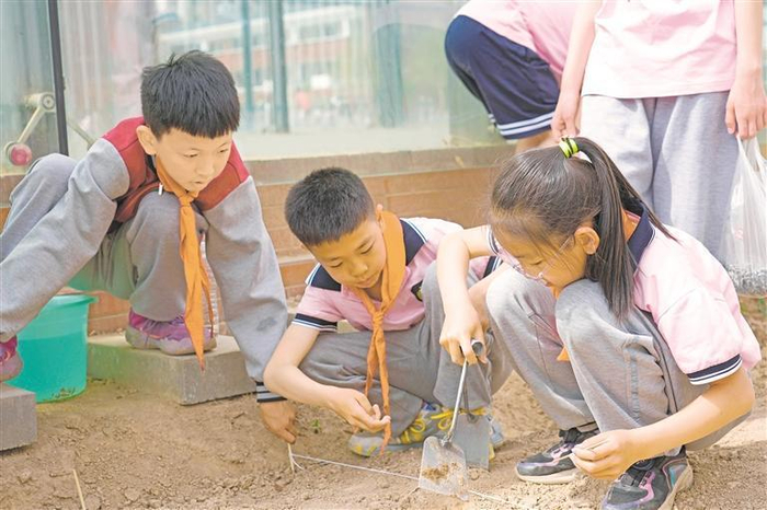 银川市金凤区第十二小学五年级的同学们种下了一片向日葵花田。记者　贺紫瑞　摄