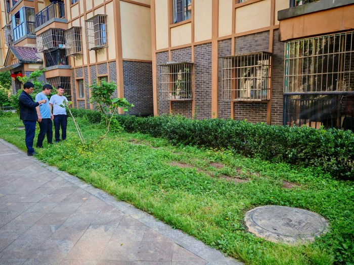 扮靓后的小区环境