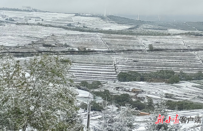 华家岭出现降雪天气。新甘肃·甘肃日报通讯员 杨惠宁 摄