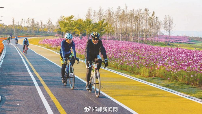 骑行的游客踏着单车穿过花径，尽享湖风拂面、花香盈袖的惬意。 磁县县委宣传部供图