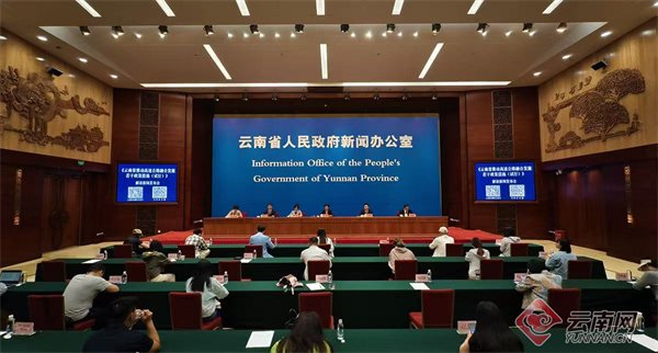 发布会现场 赵嘉 摄