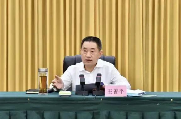 王善平（资料图）