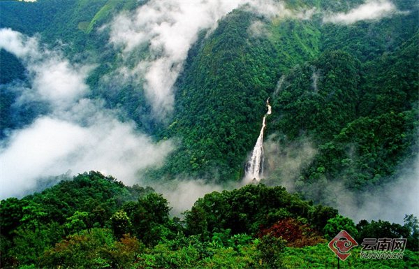 哀牢山国家级自然保护区