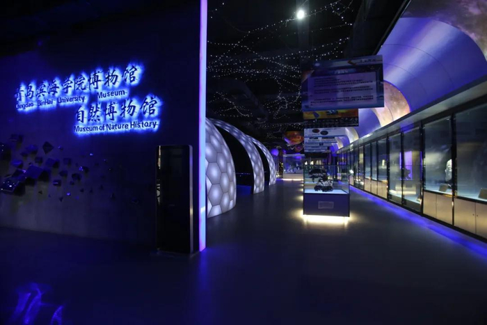 © | 青岛滨海学院自然生态博物馆