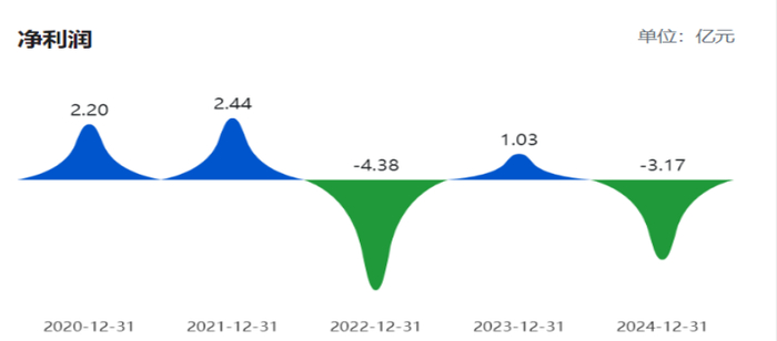 （来源：巨潮资讯网）
